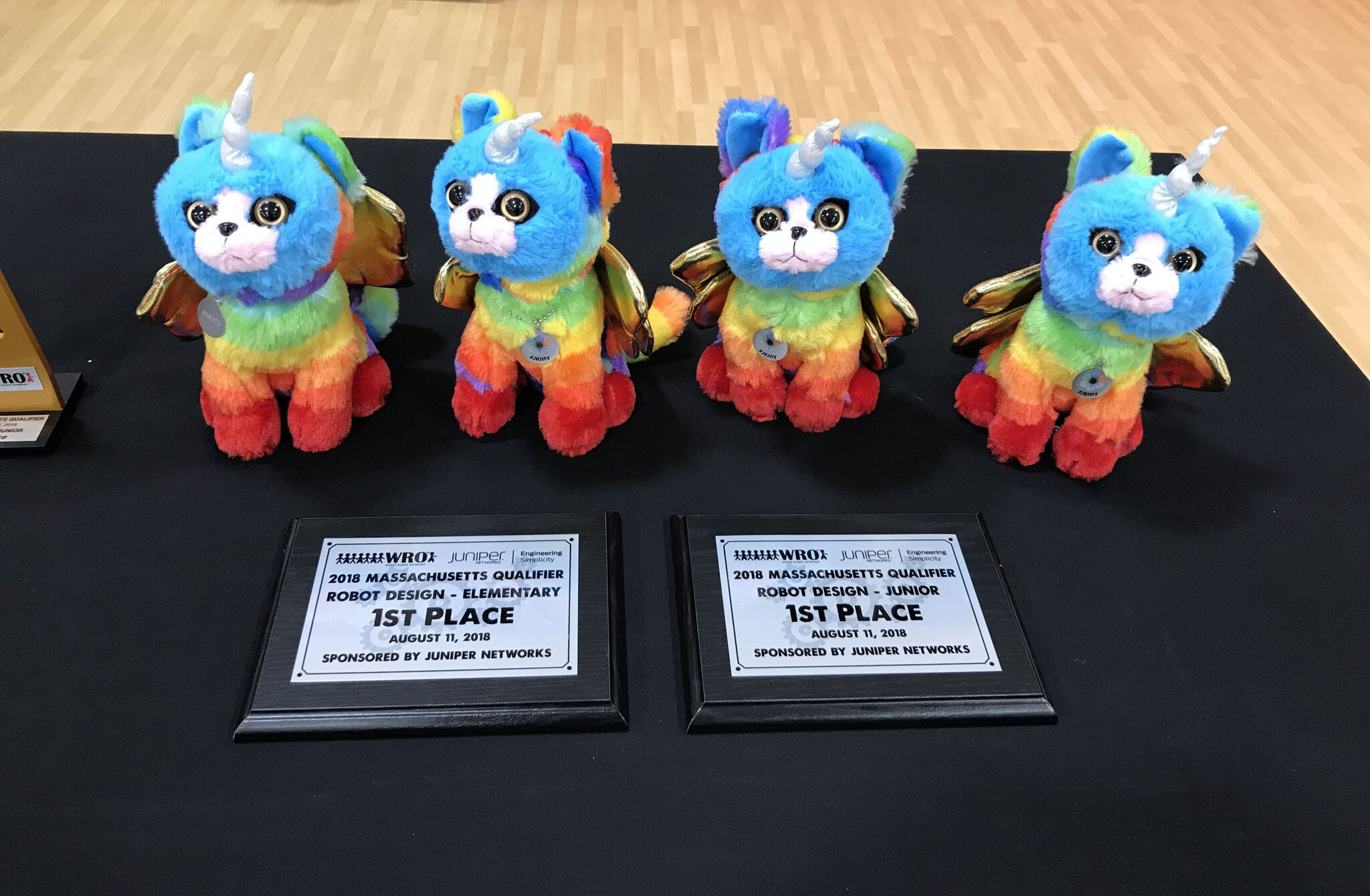 Teams displaying their entry in the Open Category - Costa Rica