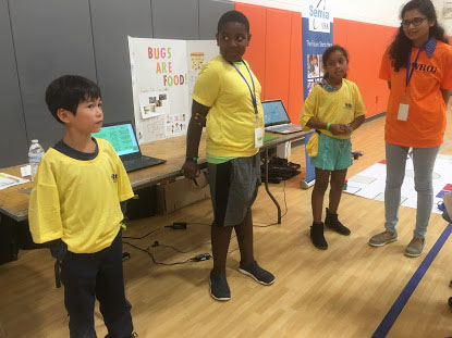 Elementary Regular Team